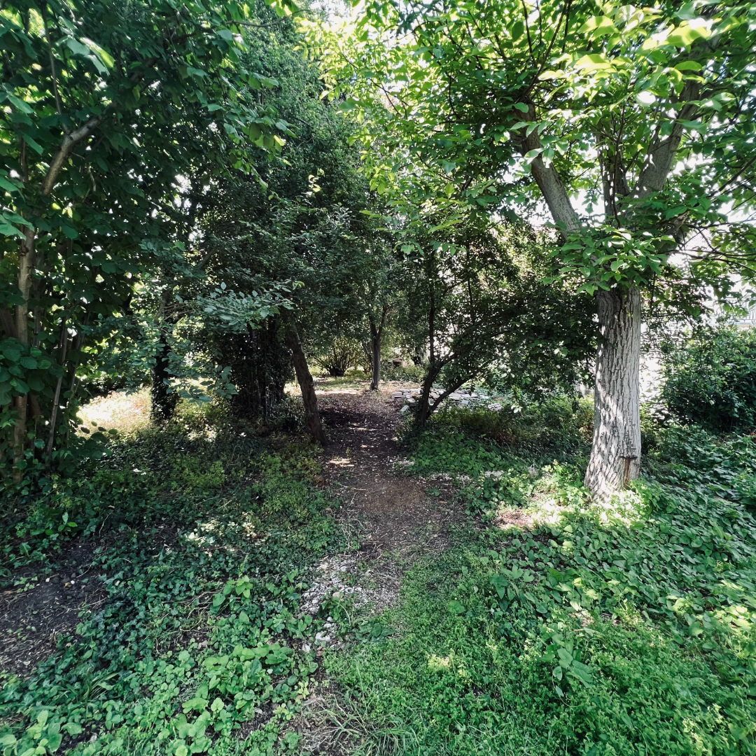 Photo n° 3