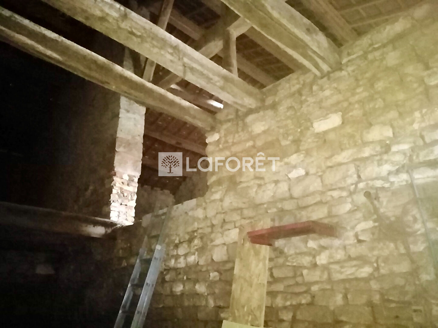 Photo n° 4