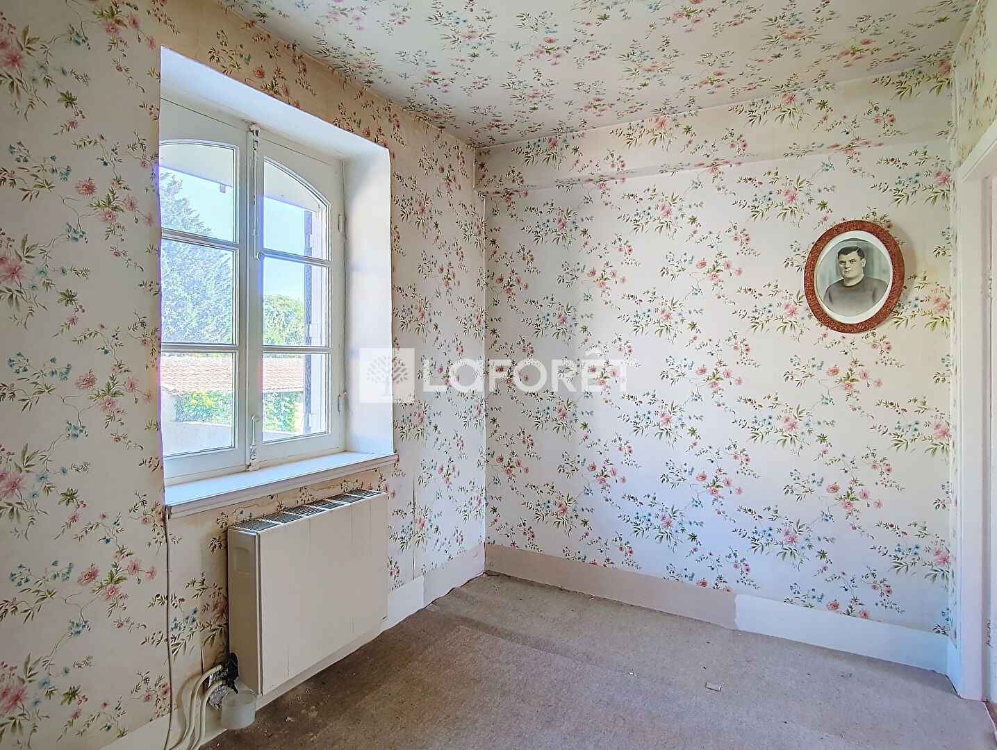 Photo n° 6
