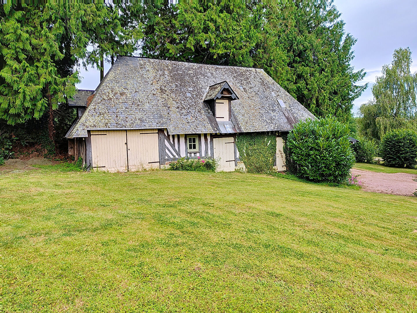 Photo n° 8