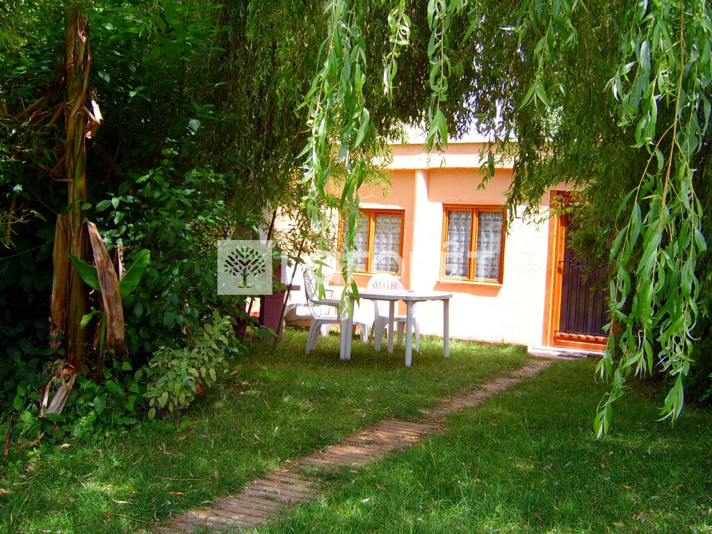 Photo n° 9
