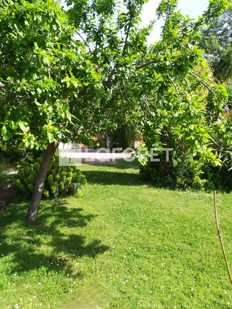 Photo n° 17