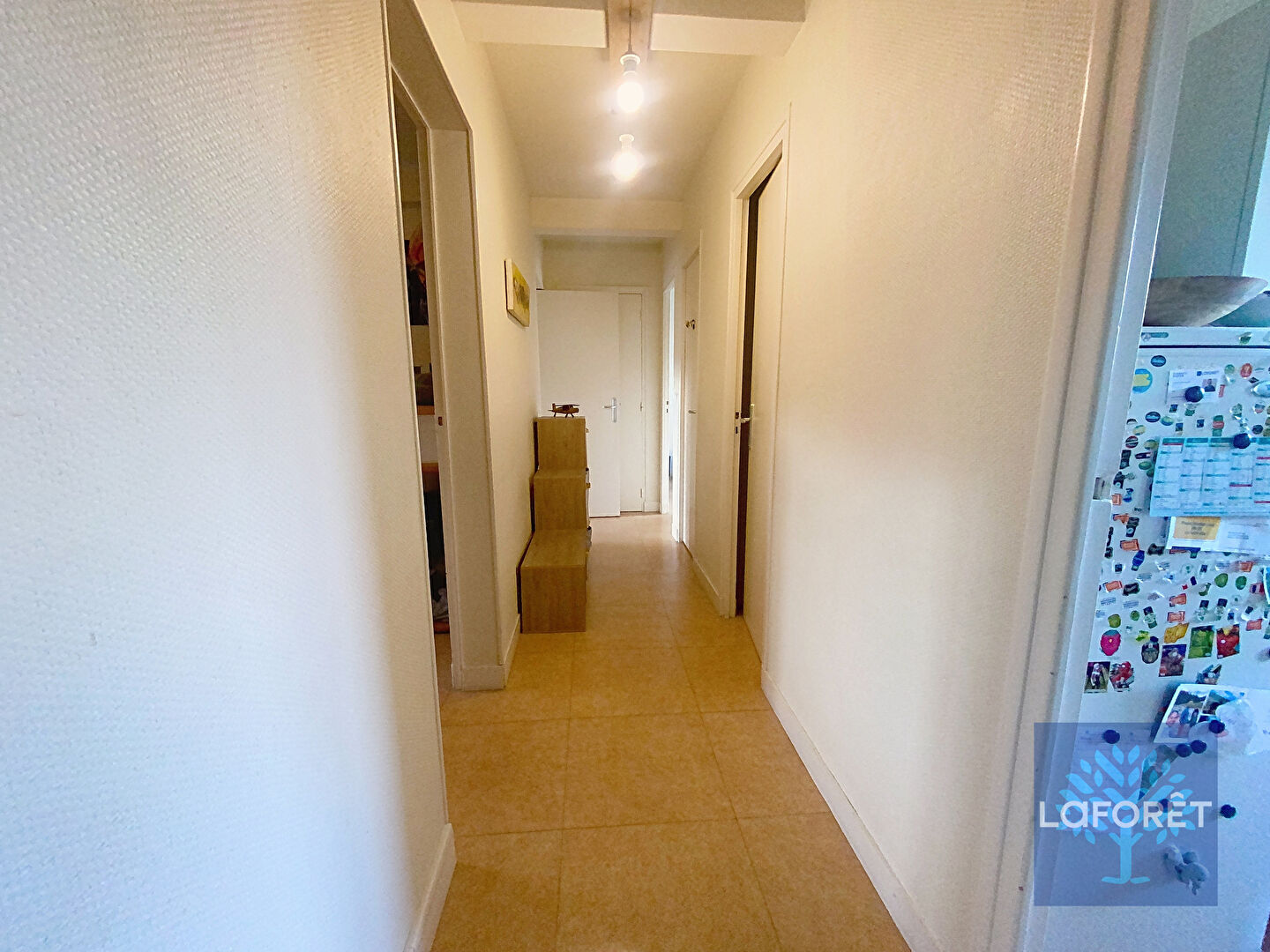Photo n° 6