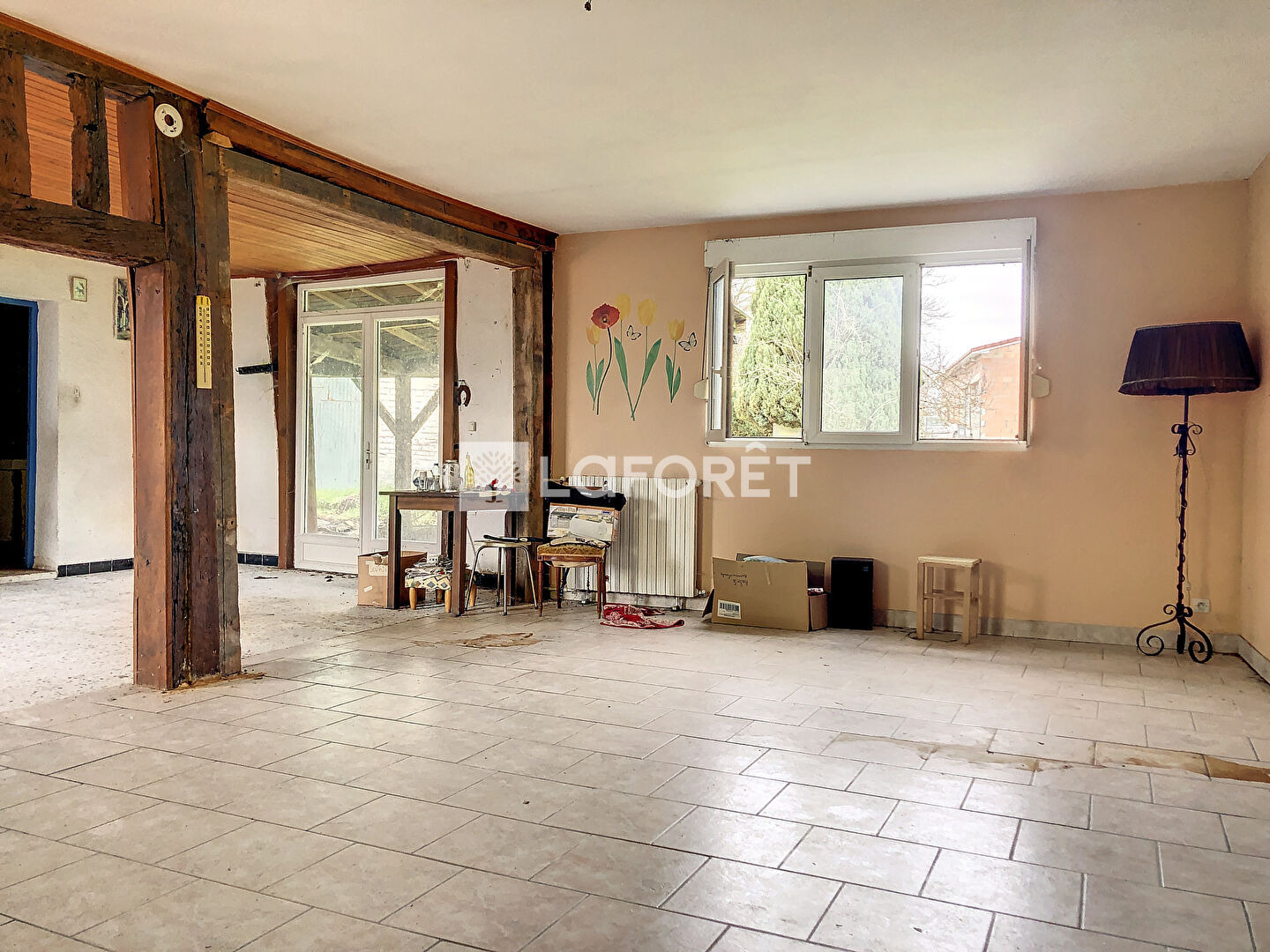 Photo n° 4