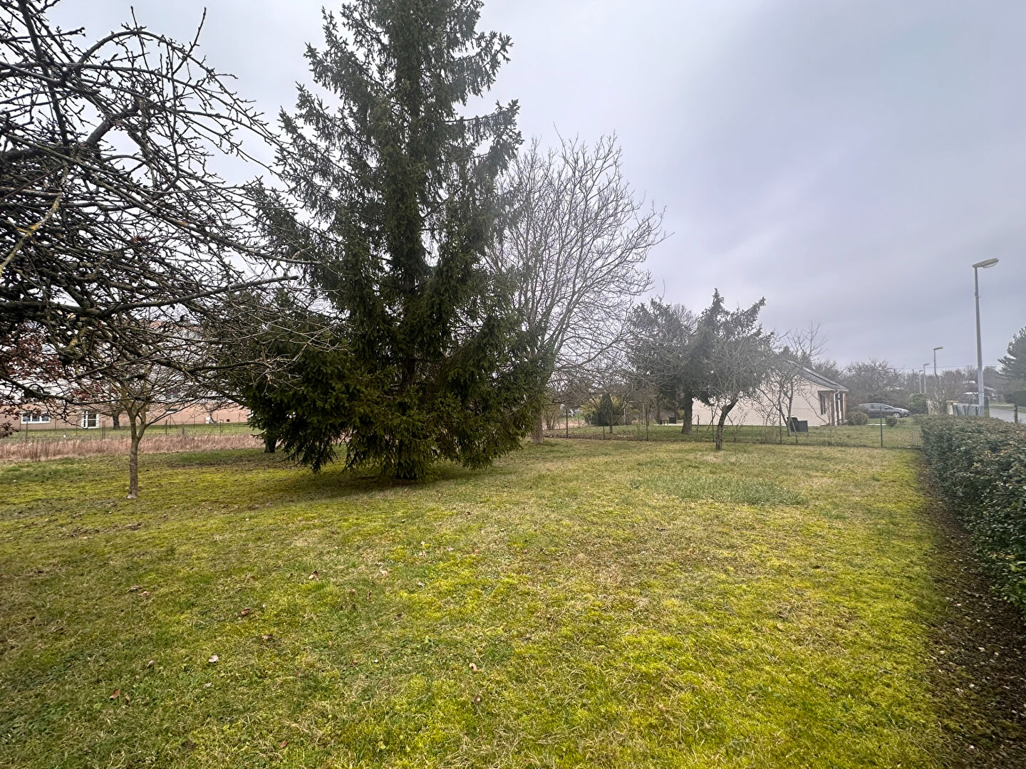 Photo n° 1