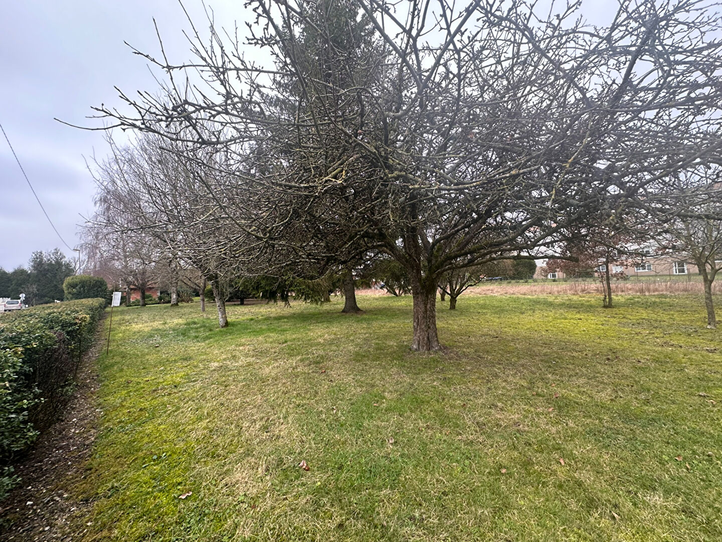 Photo n° 1