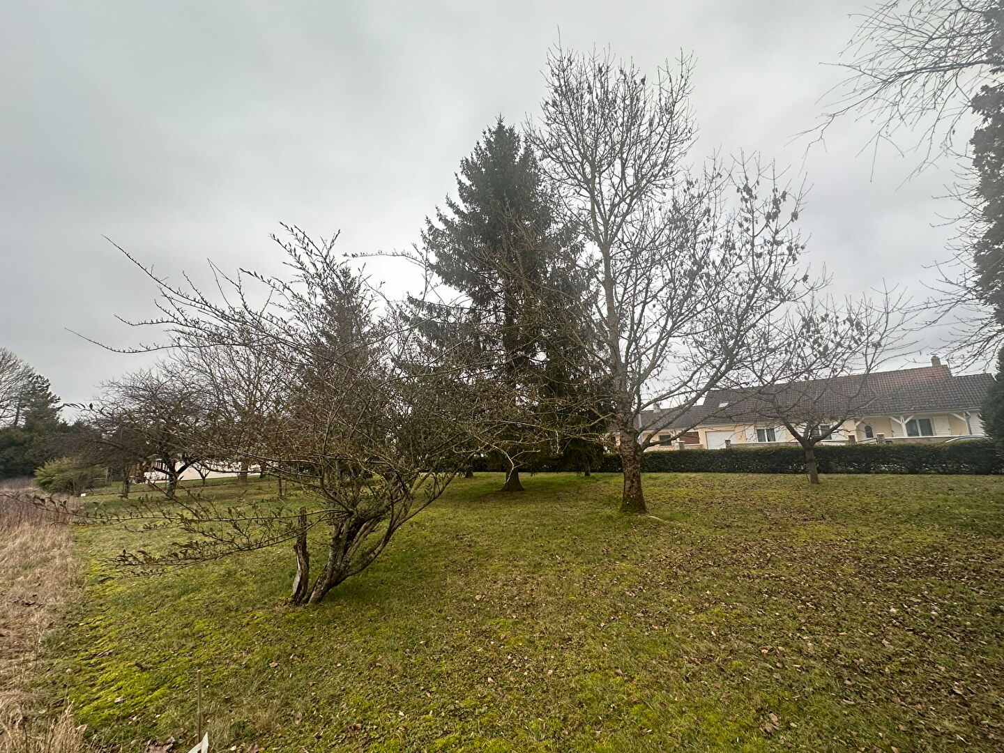 Photo n° 3