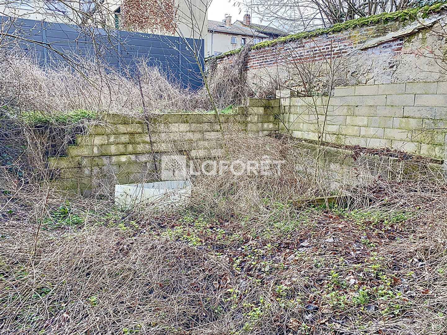 Photo n° 4