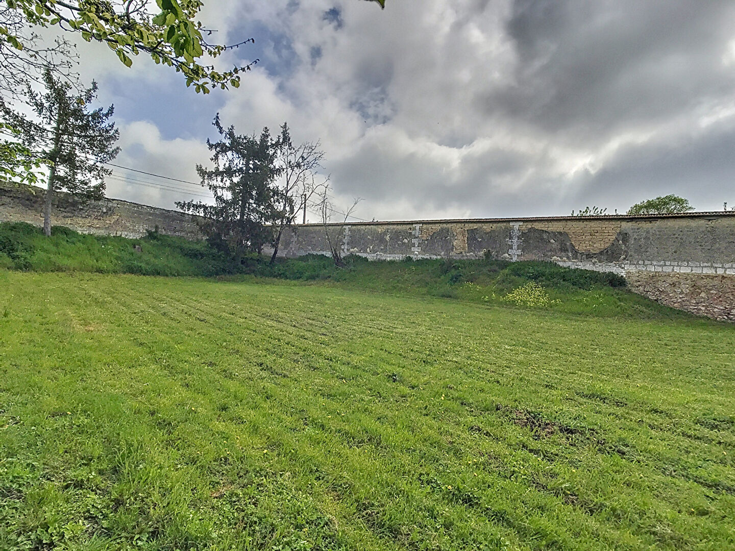 Photo n° 3