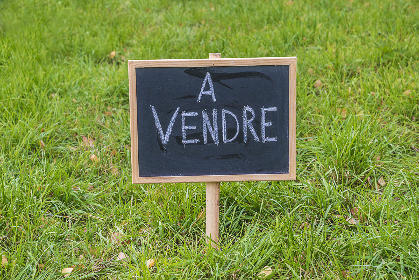Photo n° 1