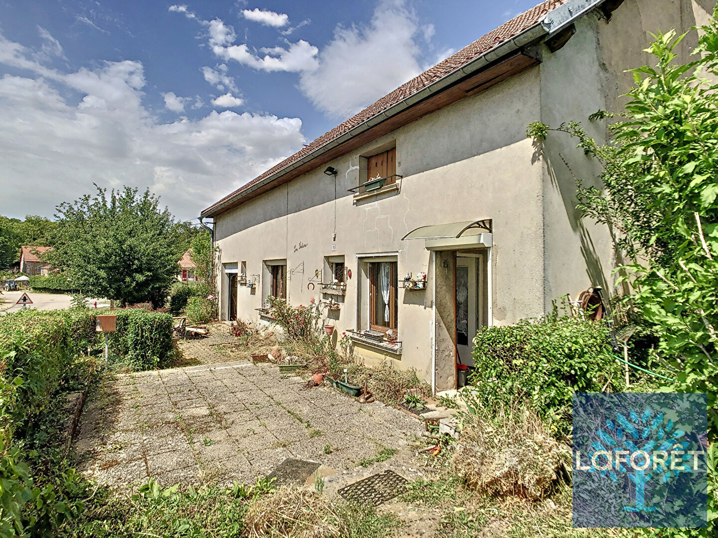 Photo n° 6