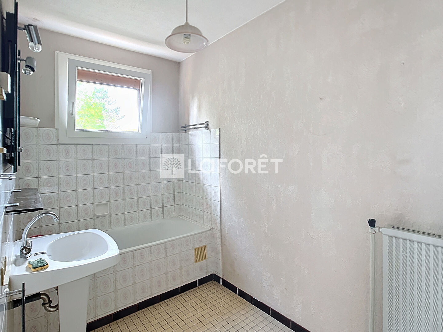 Photo n° 6