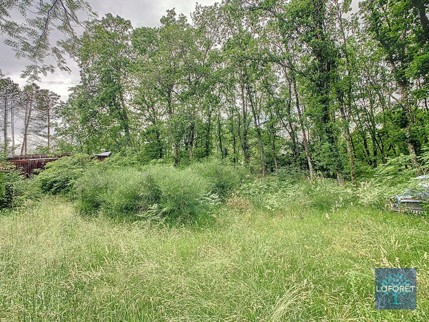Photo n° 3