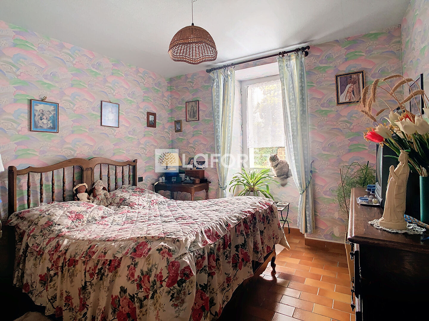 Photo n° 7