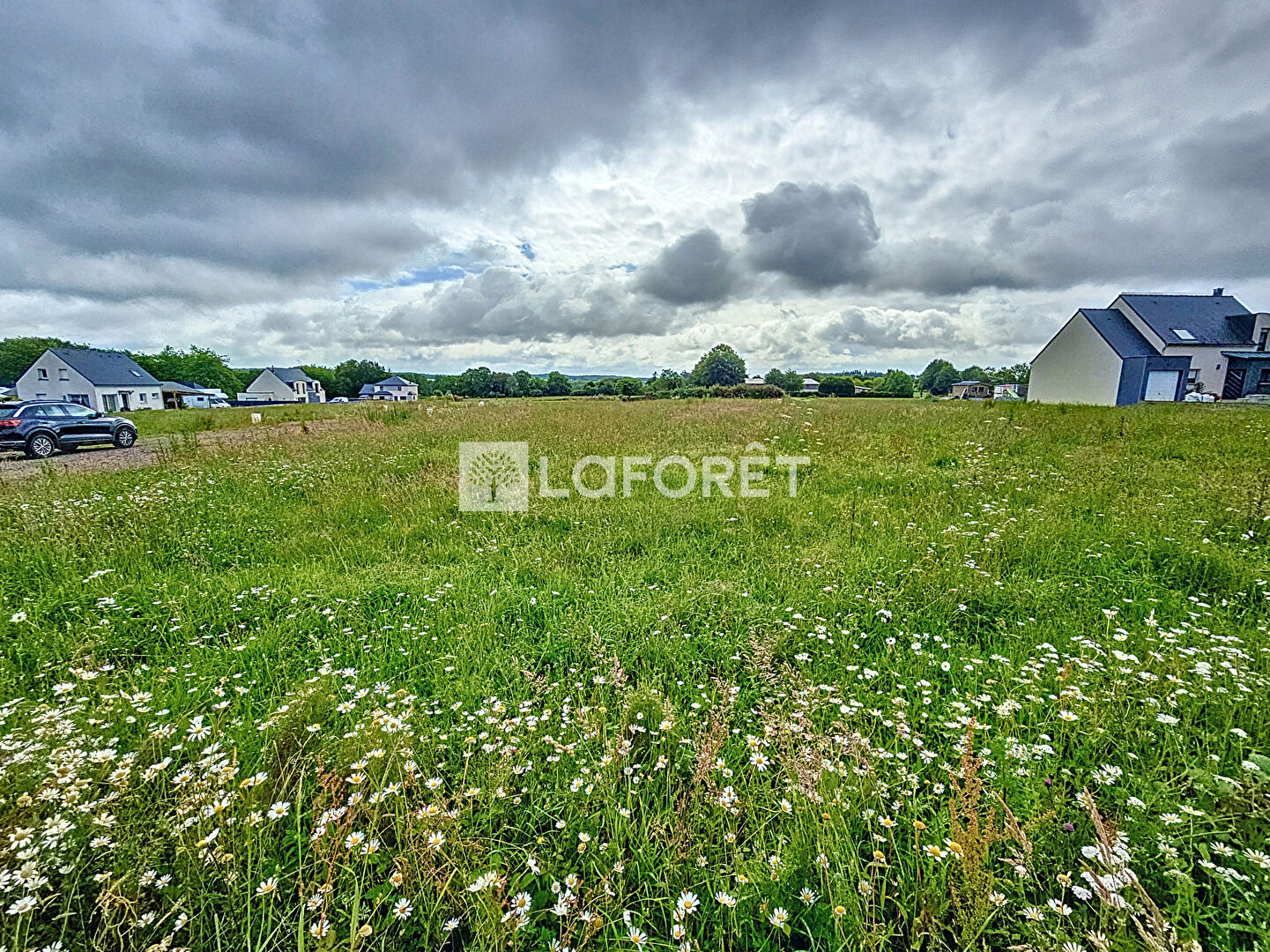 Photo n° 1