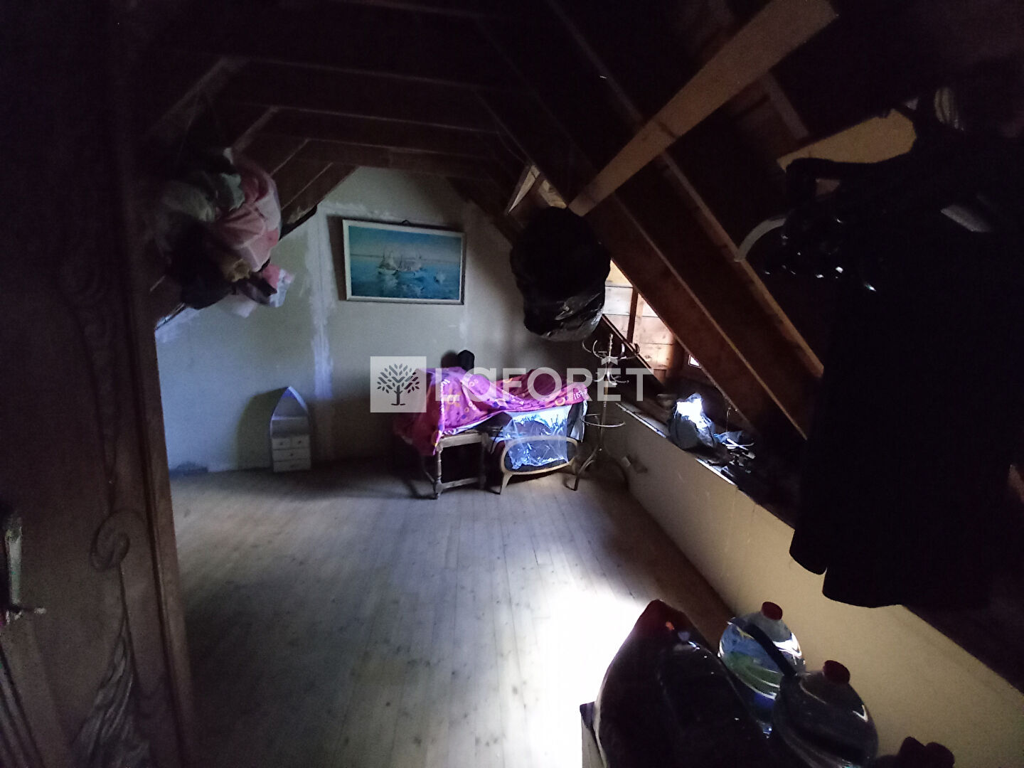 Photo n° 9