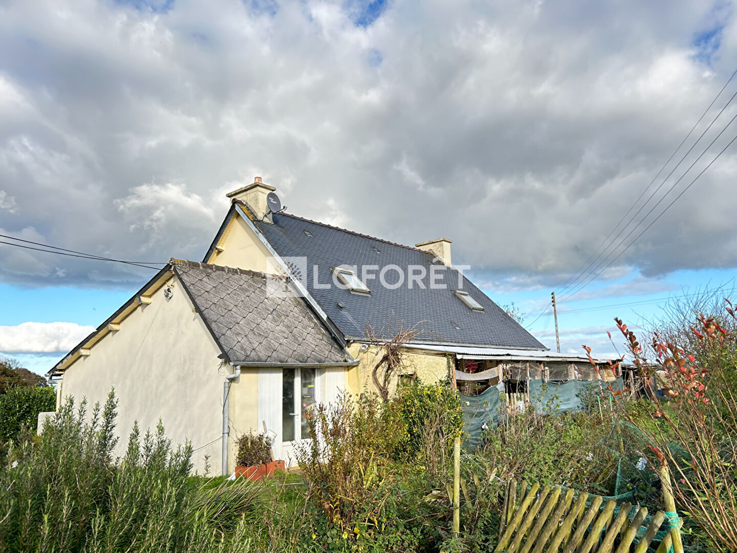 Photo n° 1