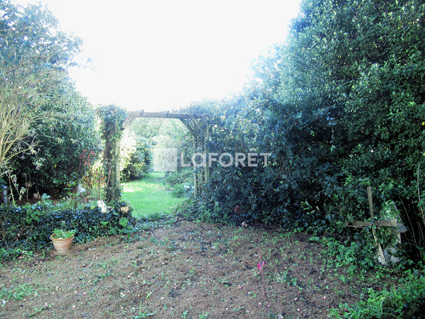 Photo n° 4