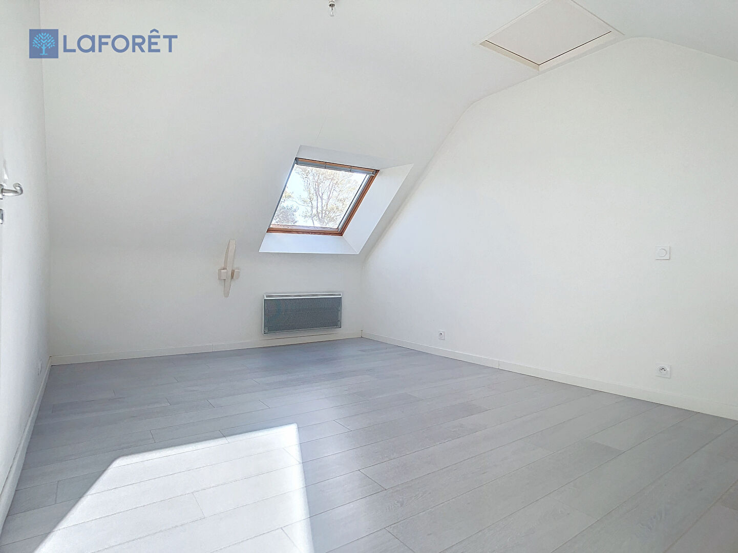 Photo n° 4
