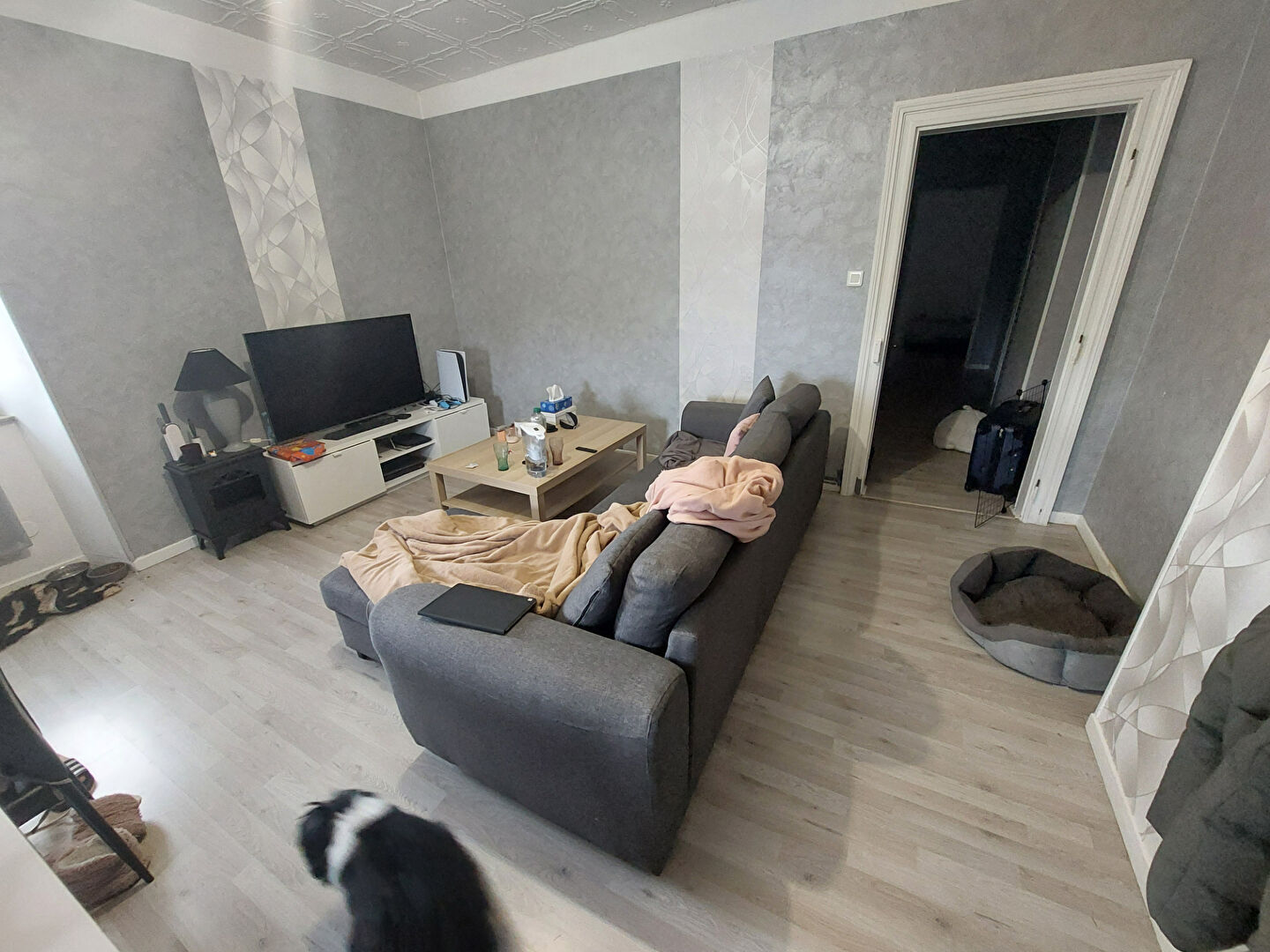 Photo n° 7