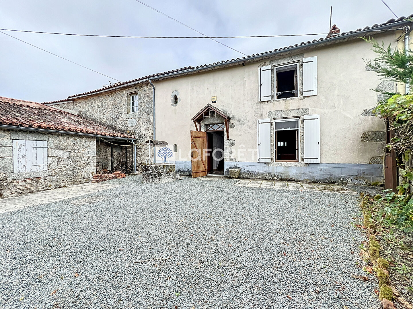 Photo n° 14