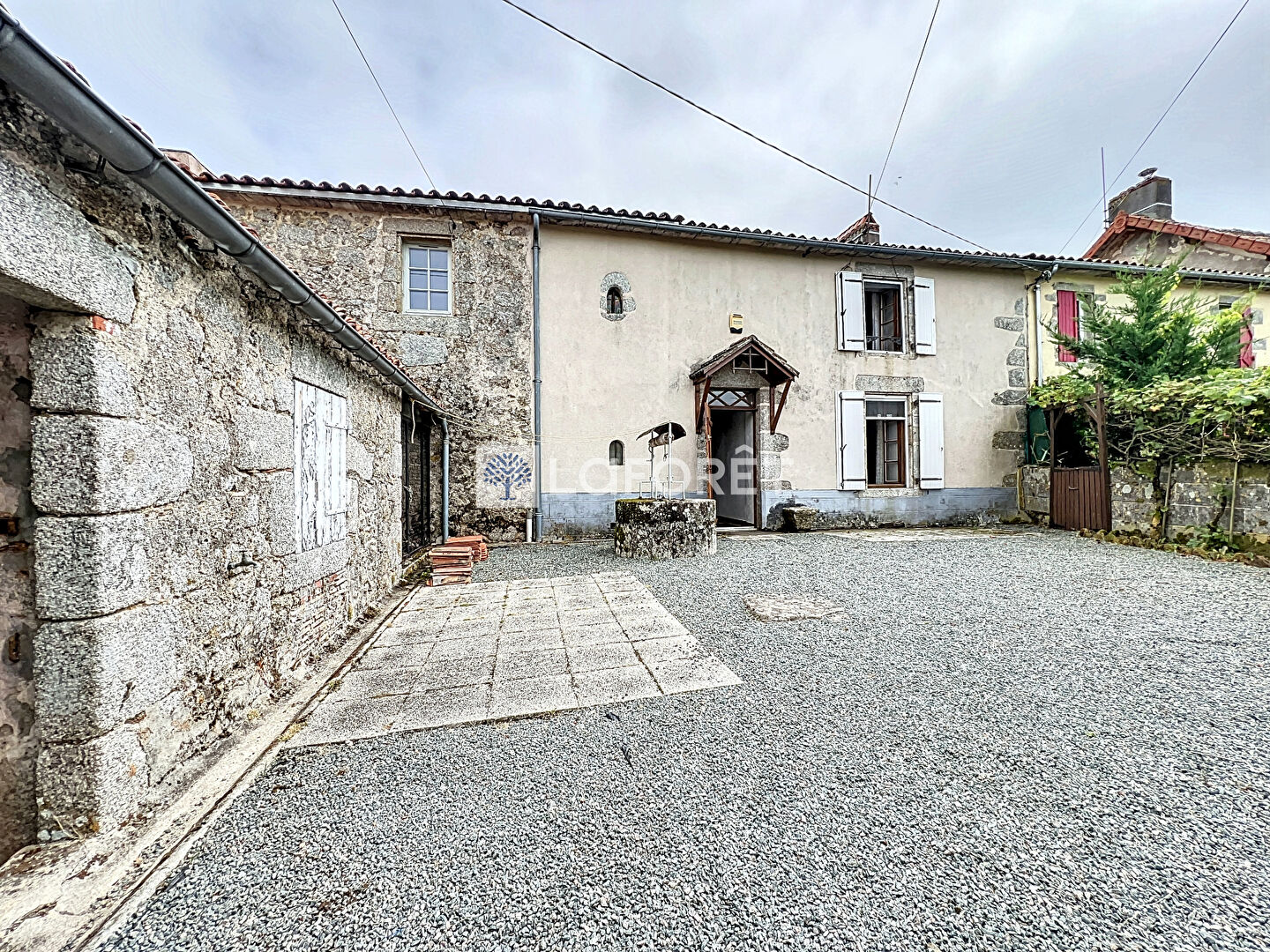 Photo n° 15
