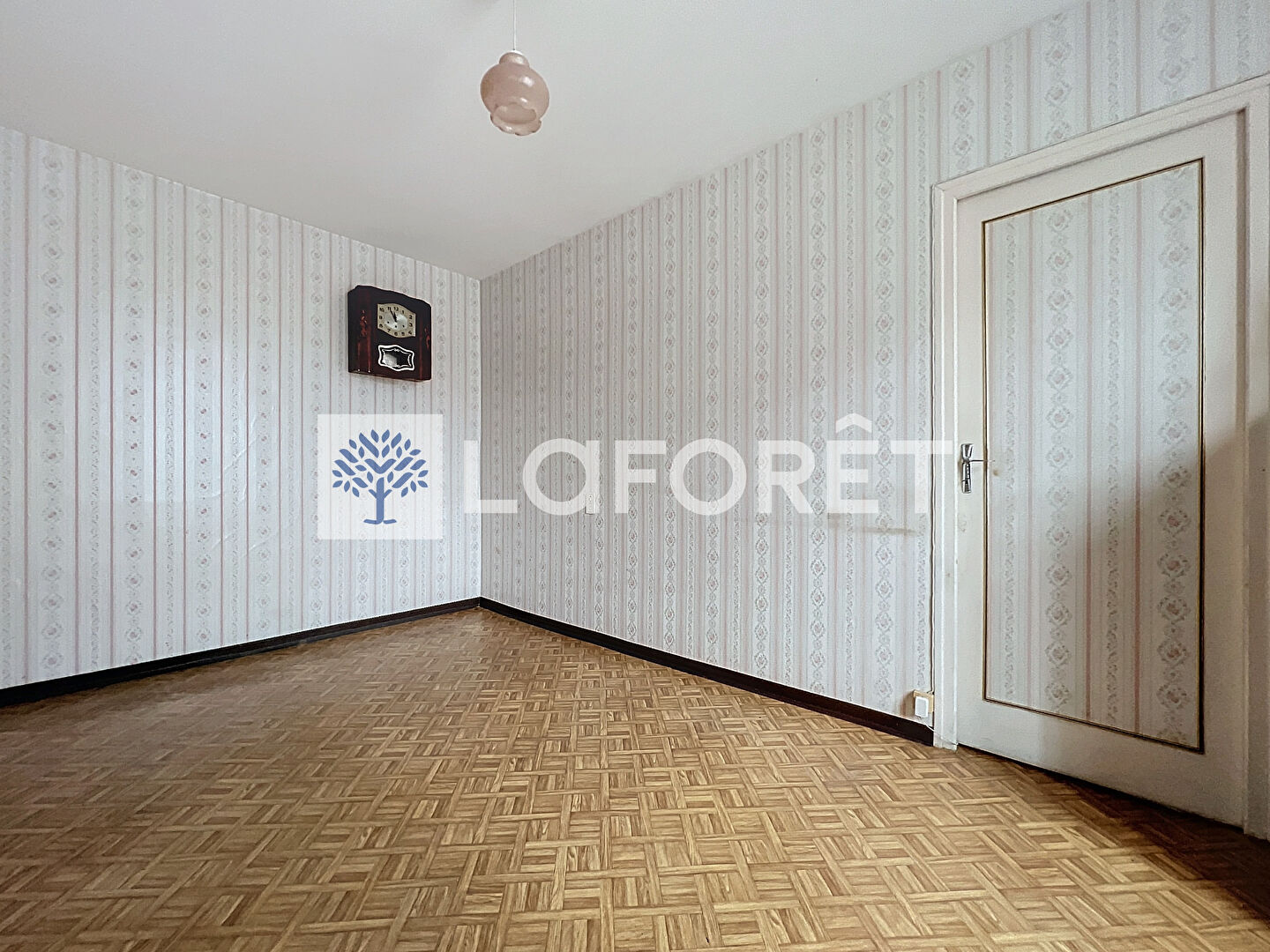 Photo n° 6