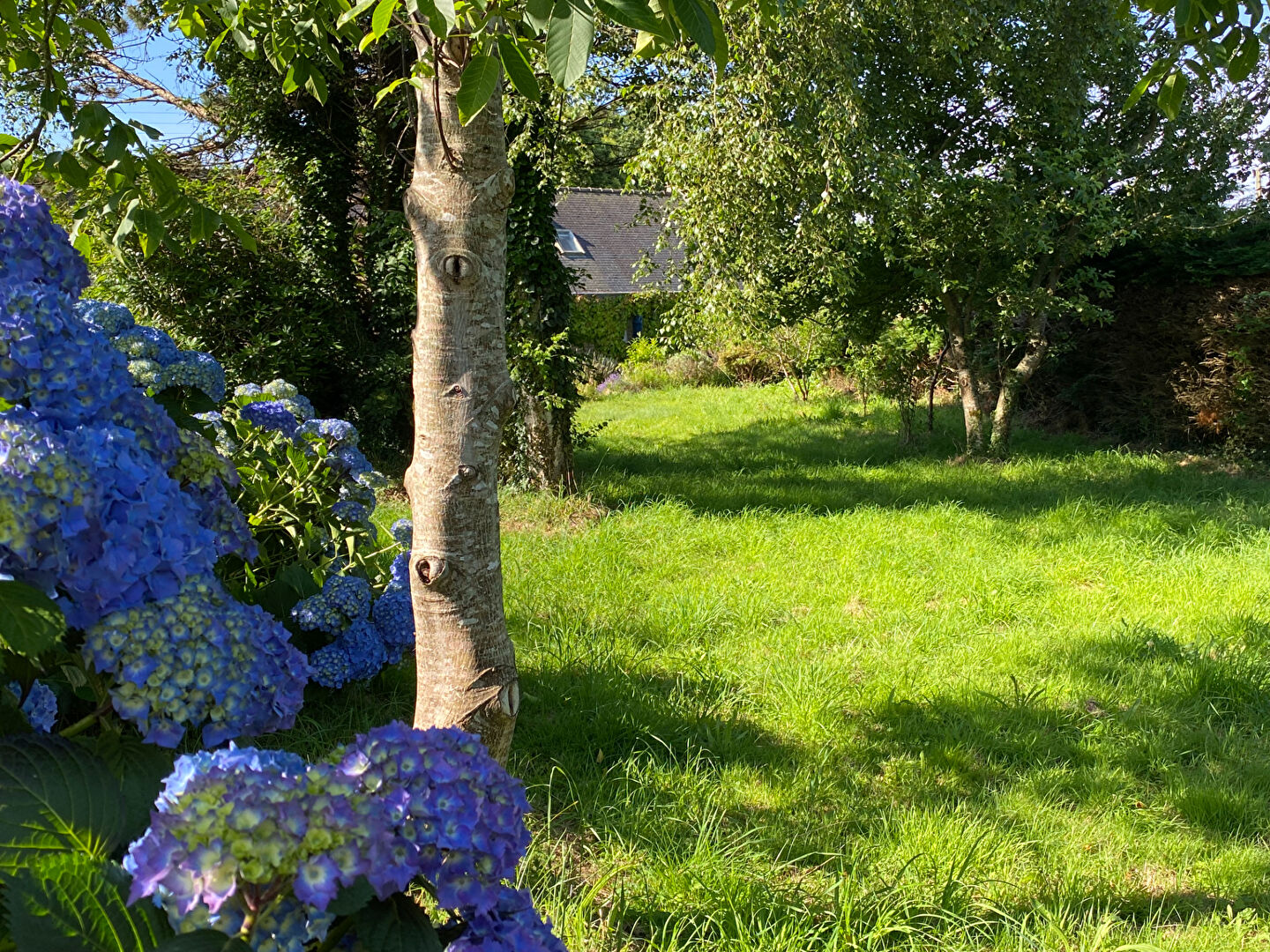 Maison à vendre, 125m², PLOZEVET