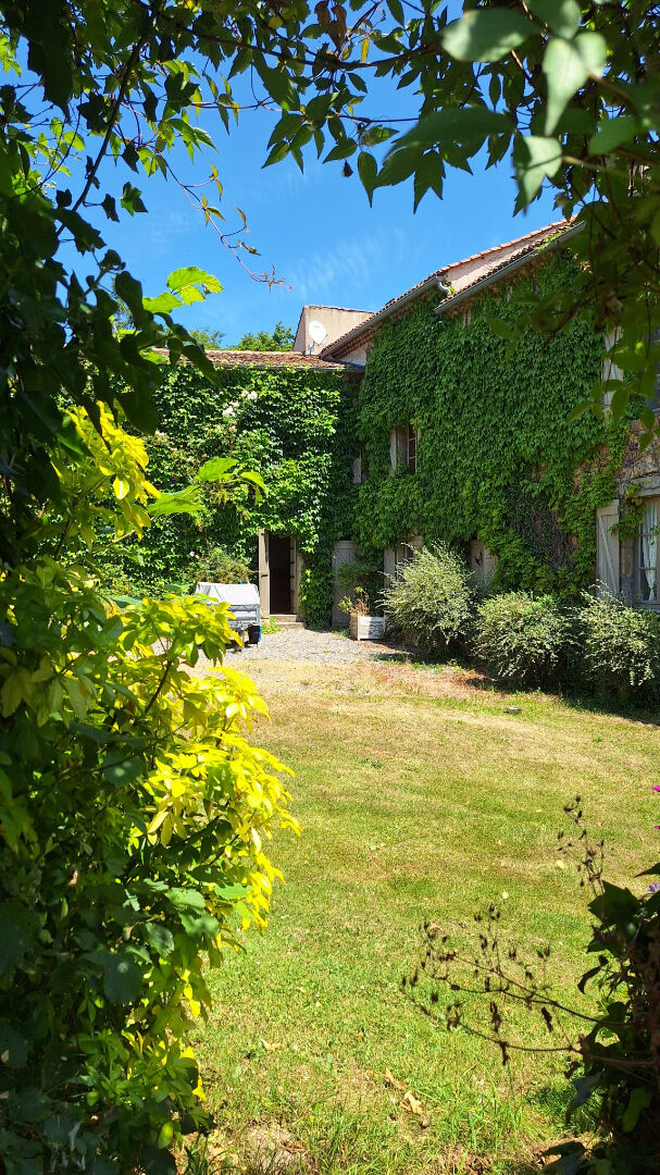 Photo n° 5