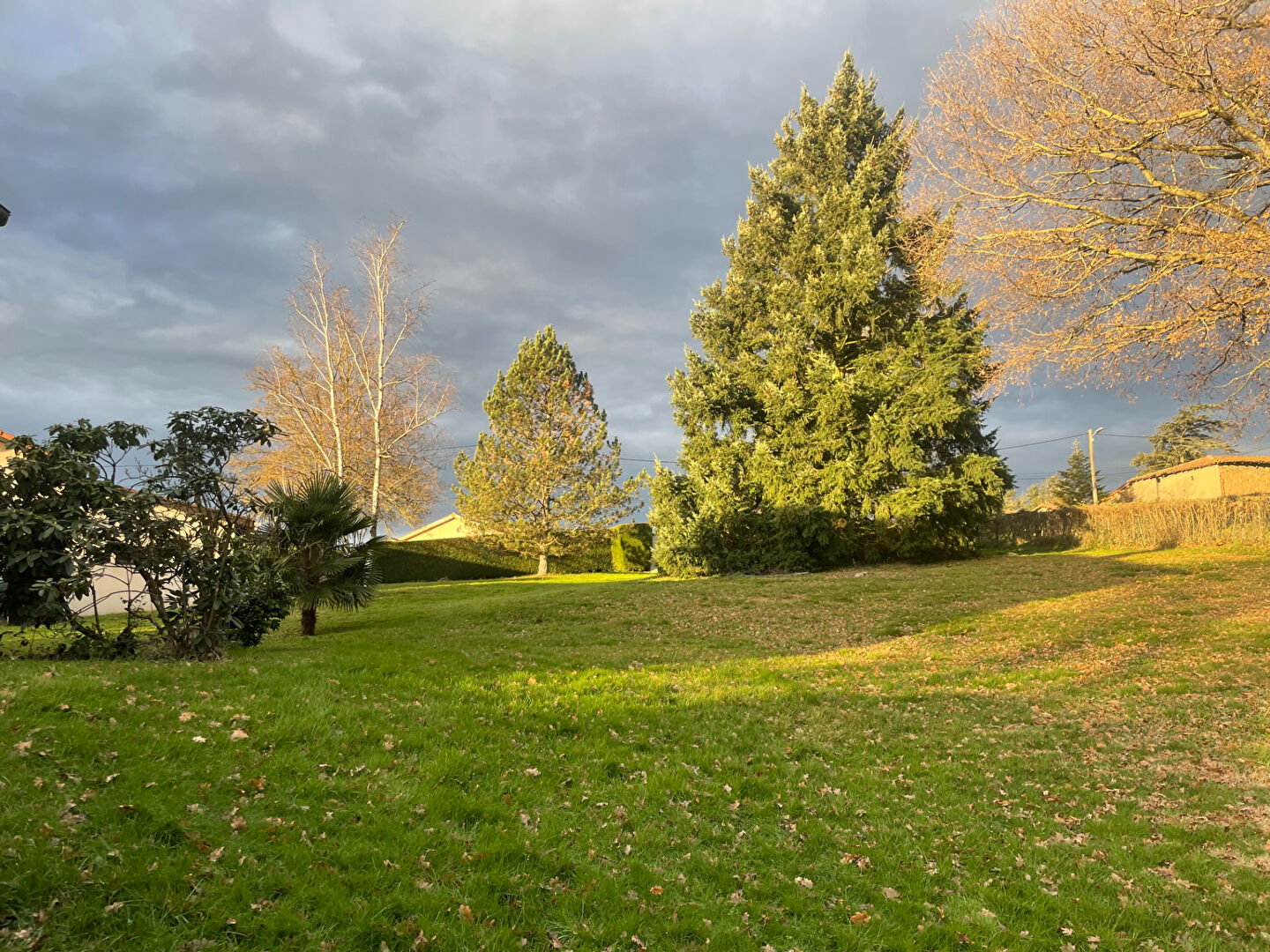 Photo n° 1