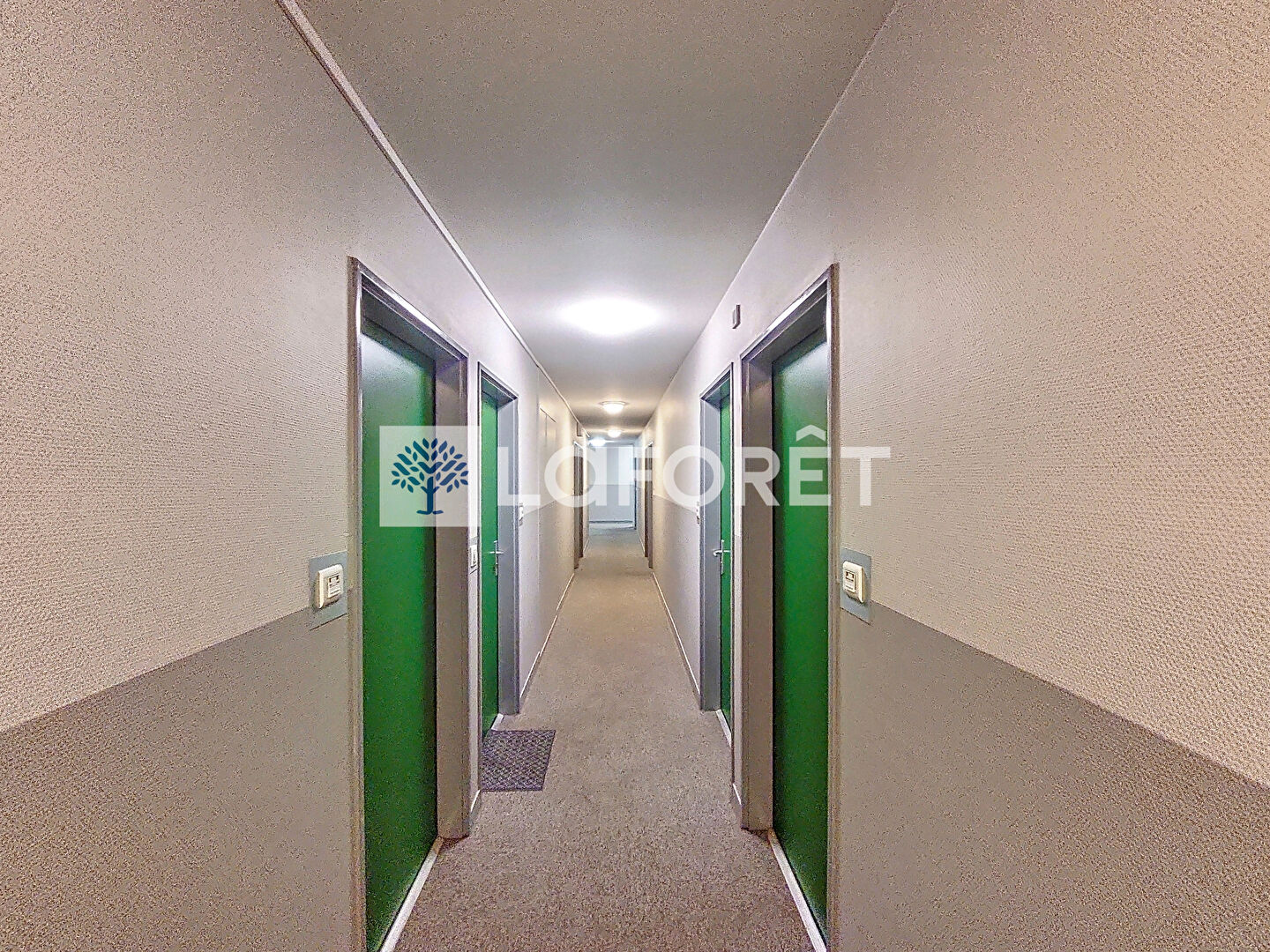 Photo n° 5