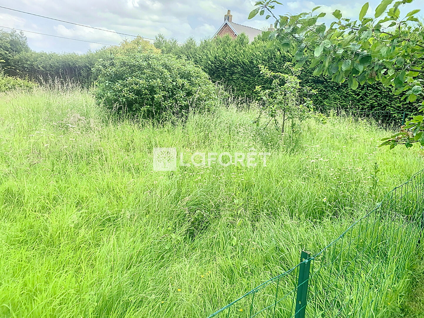 achat-terrain-haverskerque-611-m-72-000-lafor-t-immobilier