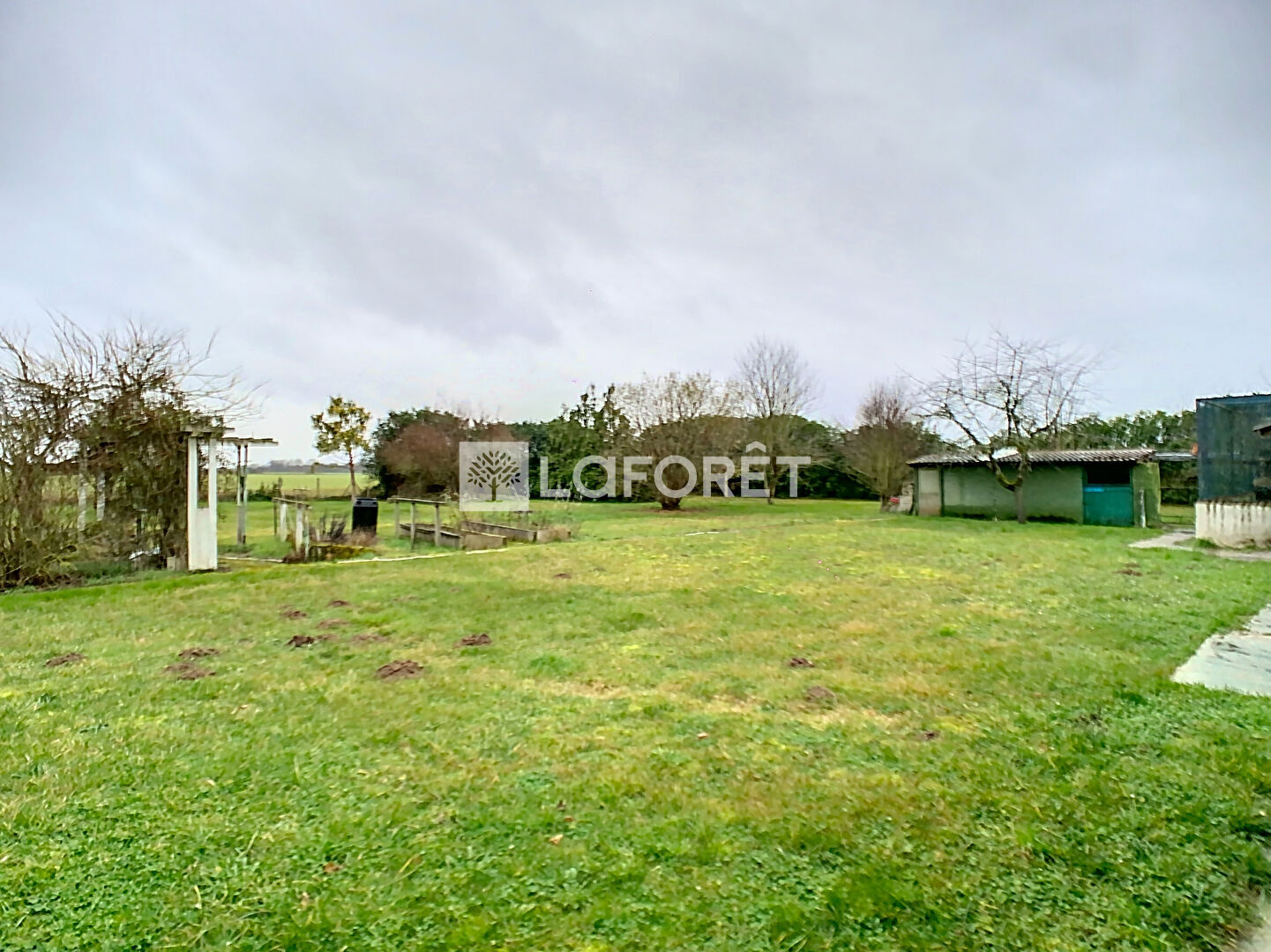 Photo n° 3