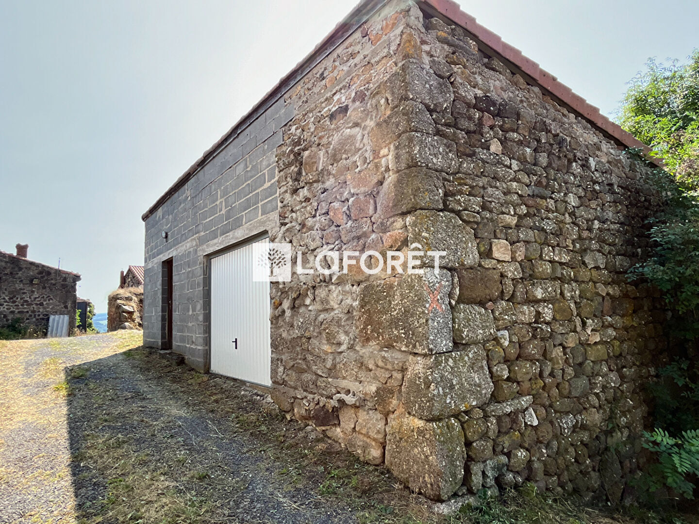 Photo n° 3