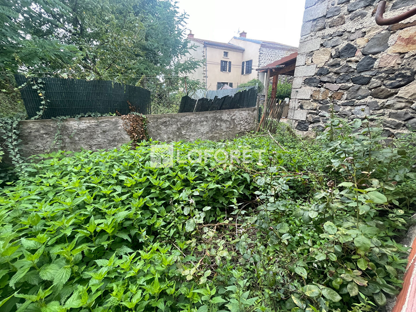 Photo n° 5