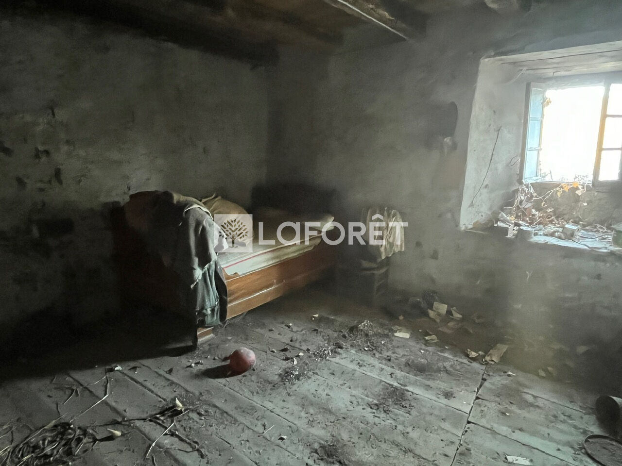 Photo n° 6