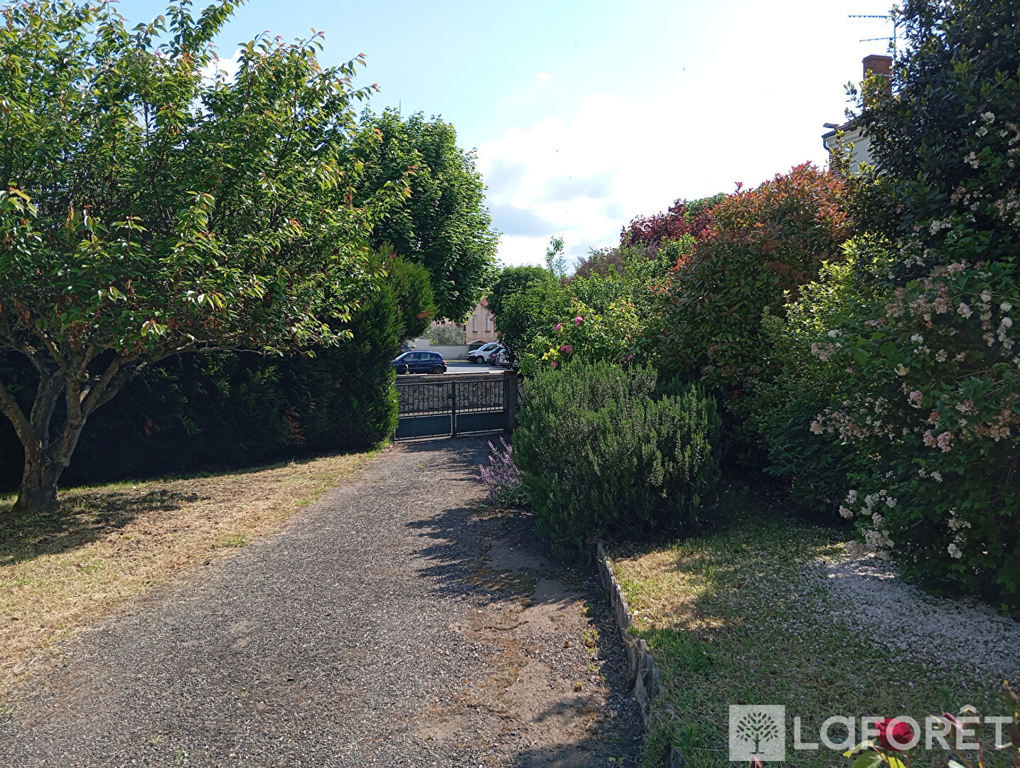 Photo n° 3