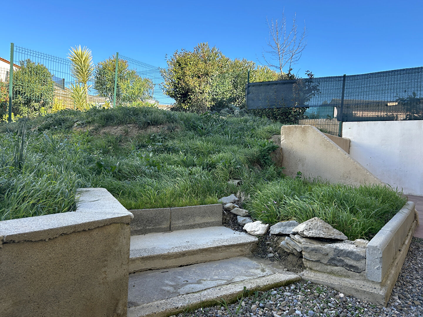 Photo n° 3