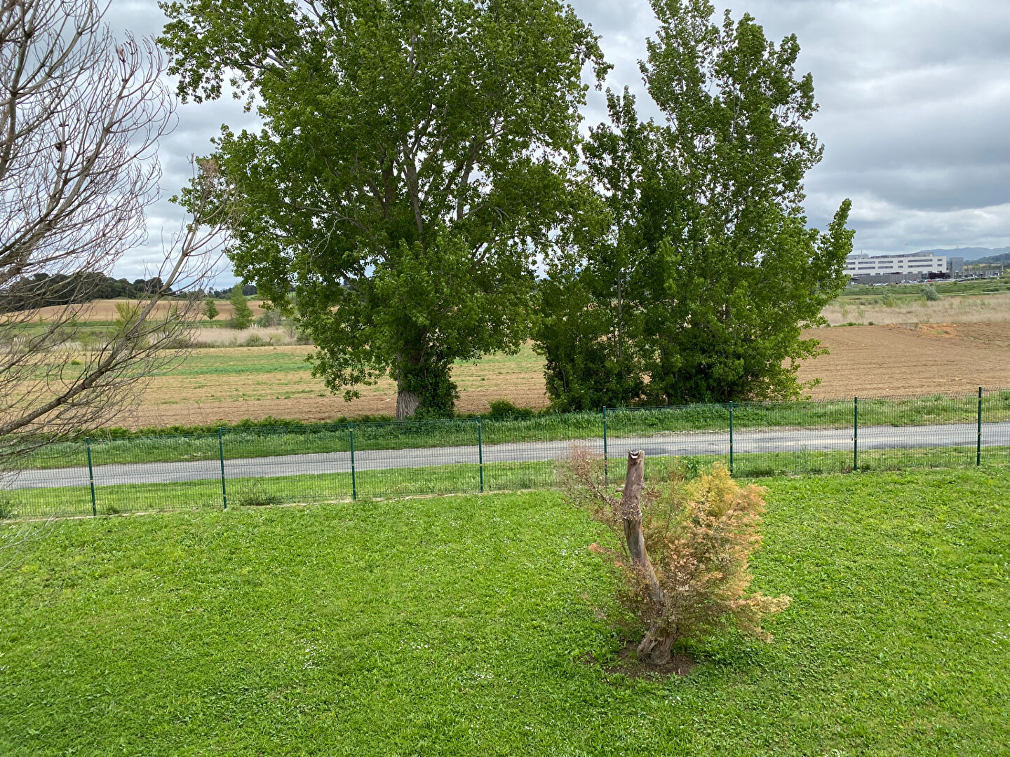 Photo n° 1