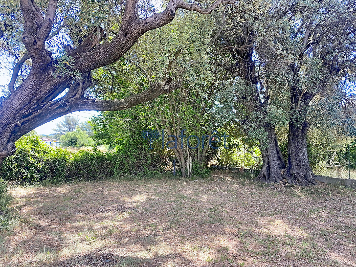 Maison à louer, 90m², SOLLIES PONT