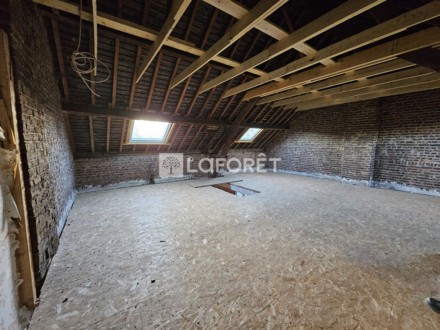 Photo n° 4