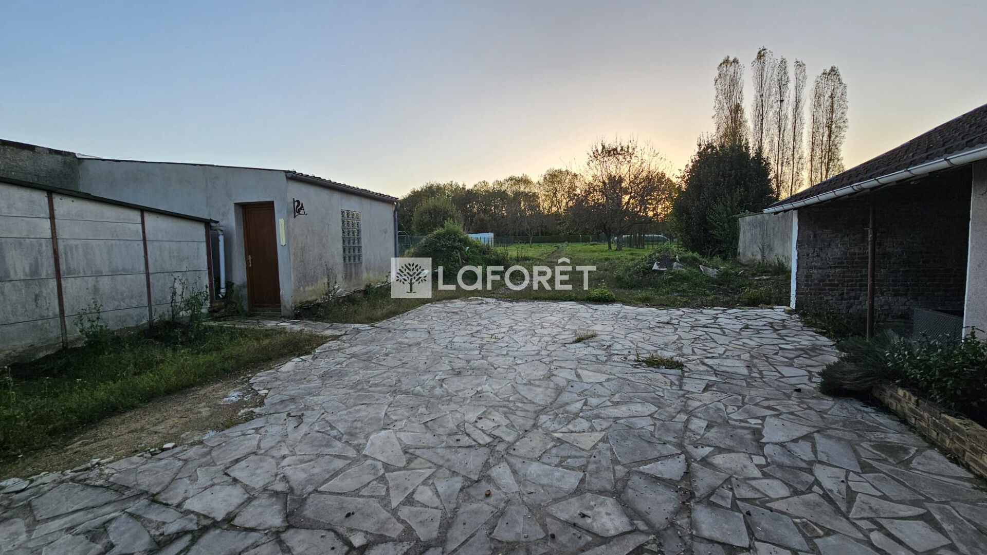 Photo n° 6