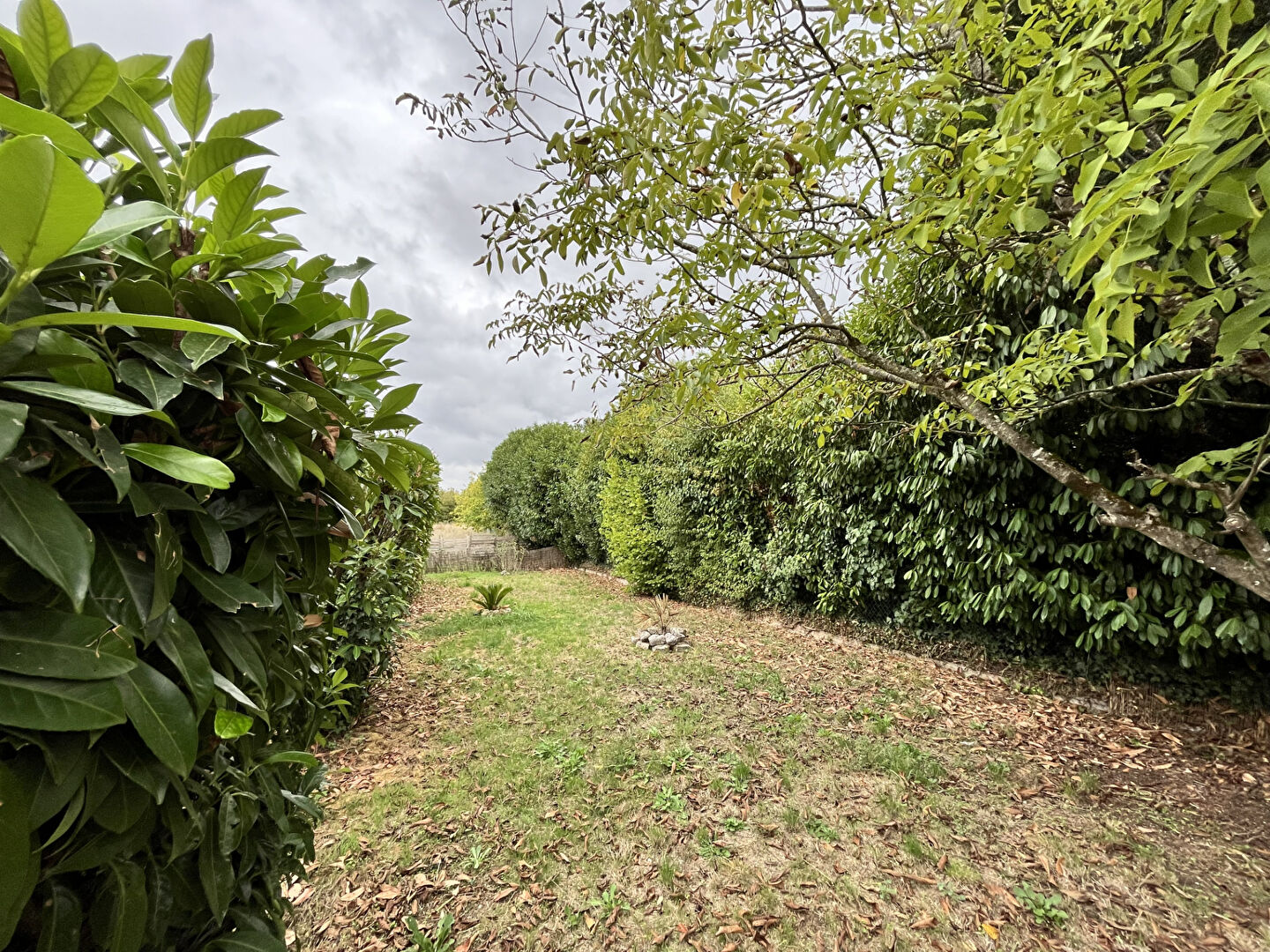 Maison à louer, 65m², COGNAC