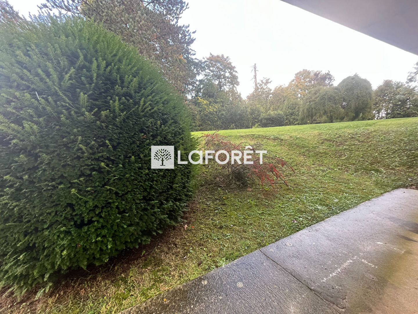 Appartement a louer angouleme - 1 pièce(s) - 42.48 m2 - Surfyn