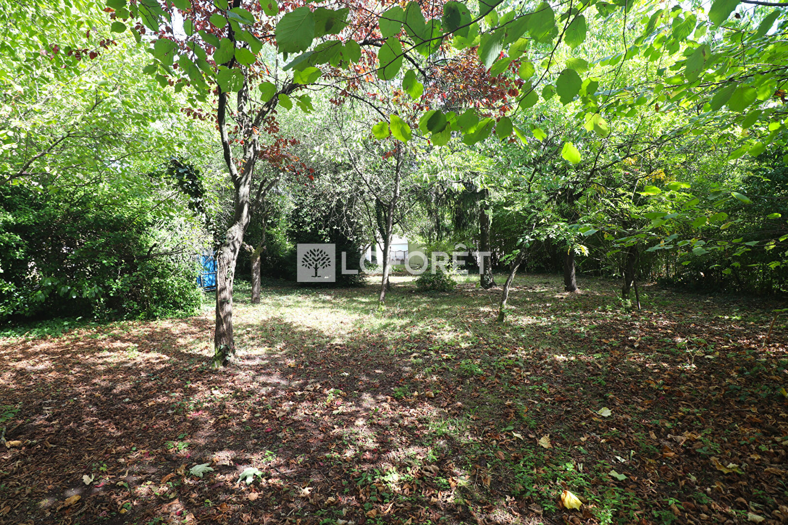 Maison a louer conflans-sainte-honorine - 6 pièce(s) - 125.69 m2 - Surfyn