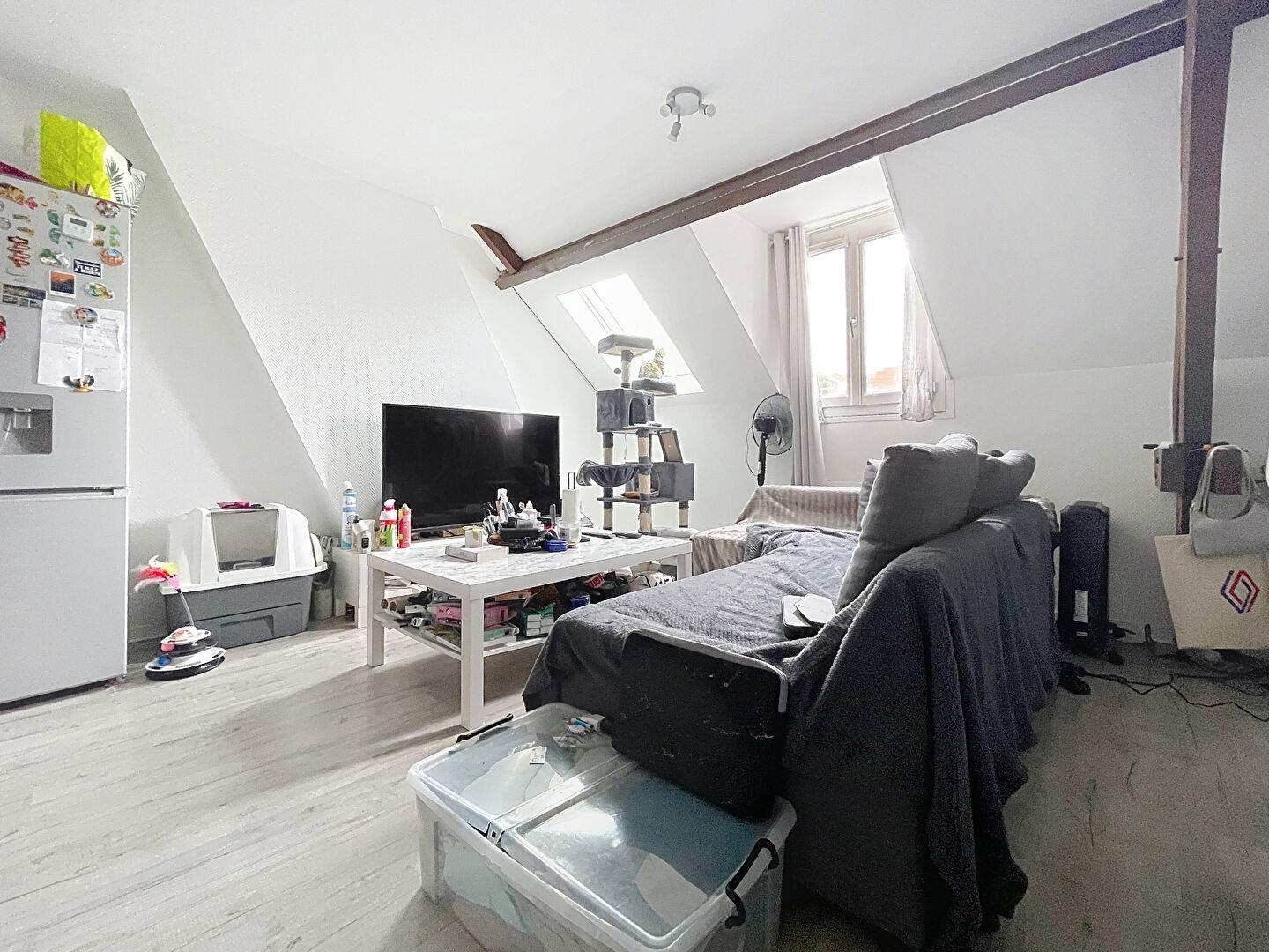 Photo n° 1