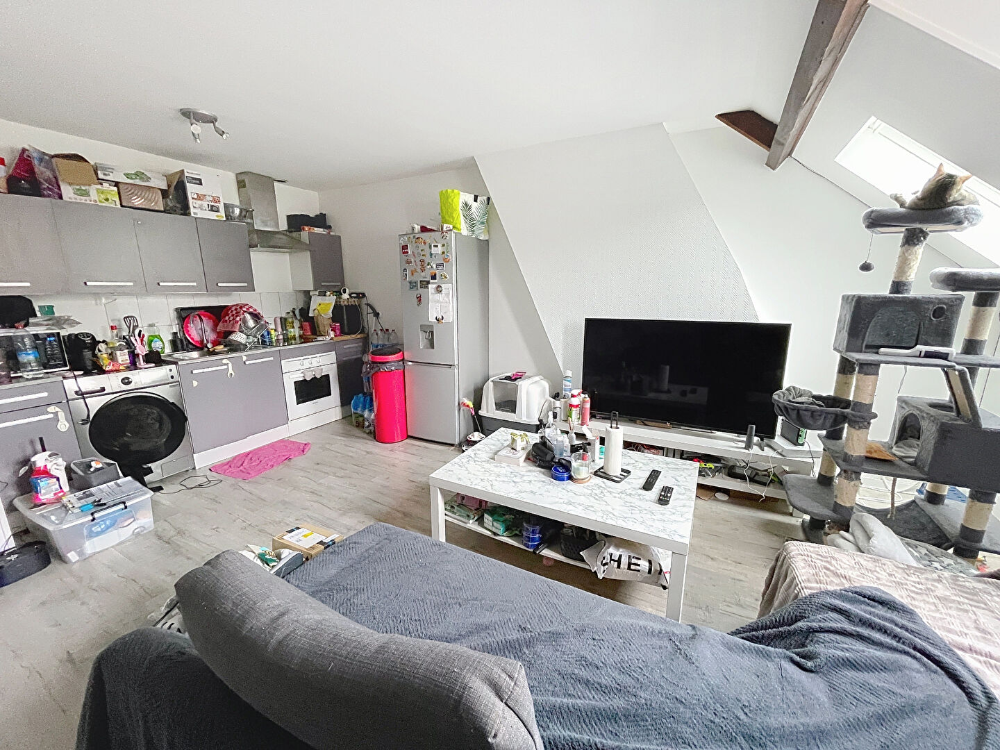 Photo n° 2
