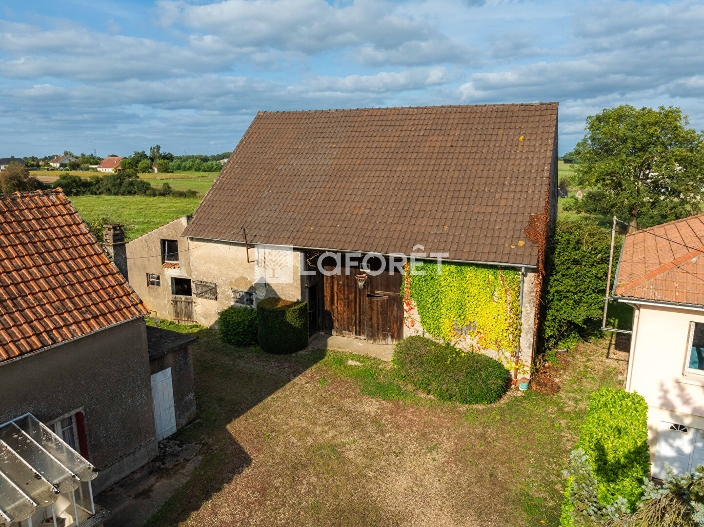 Photo n° 3
