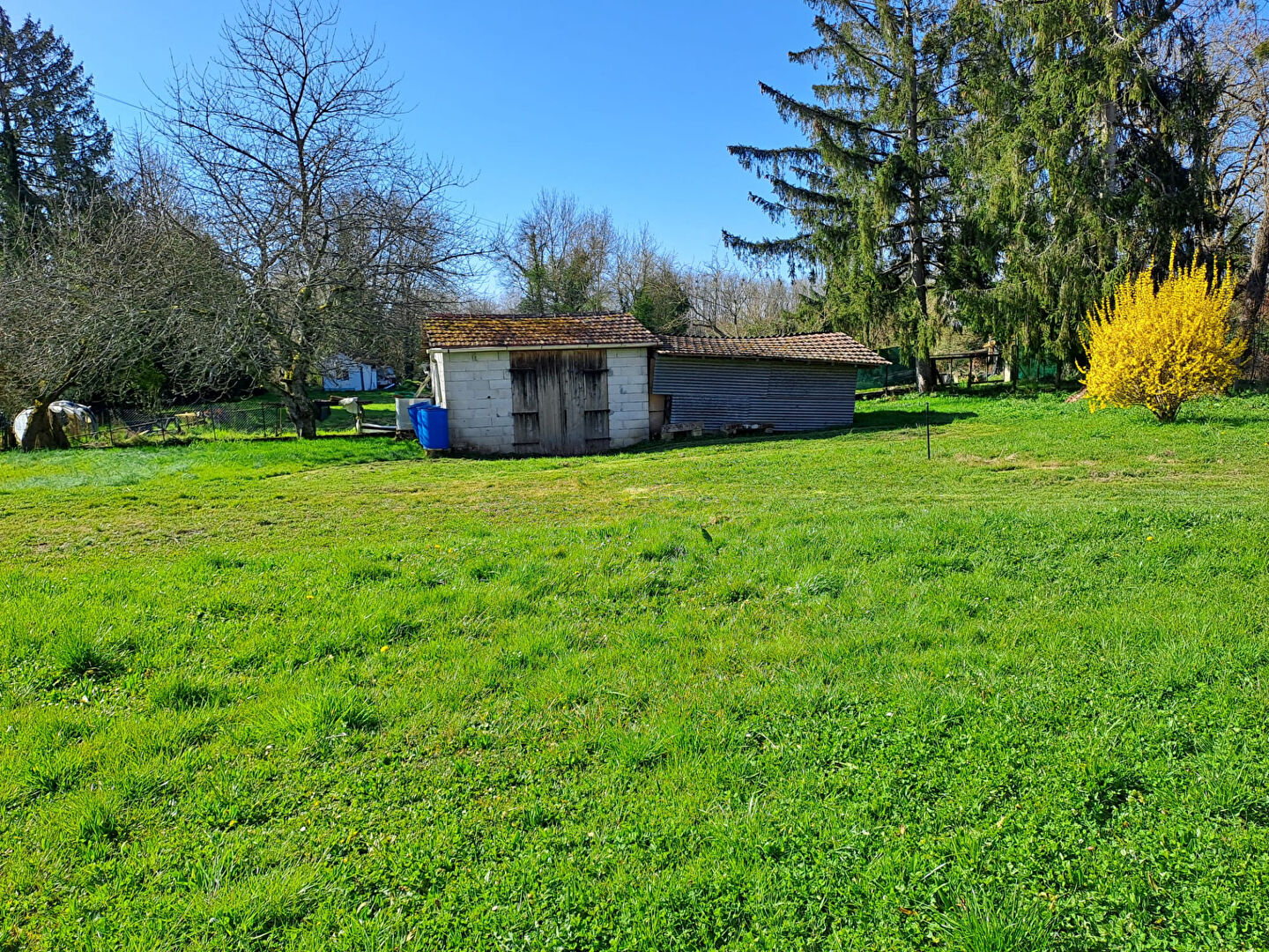 Photo n° 1