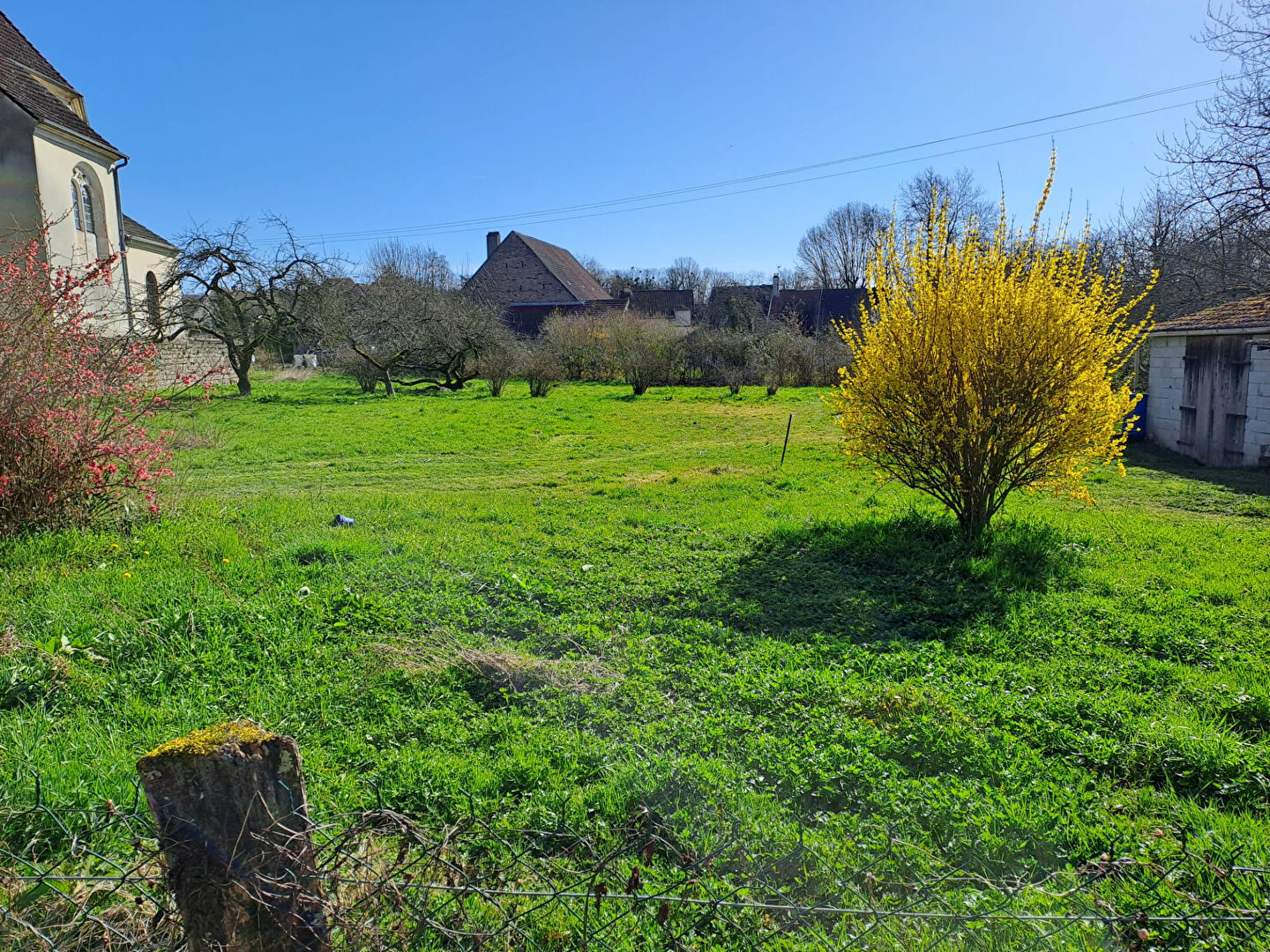 Photo n° 2